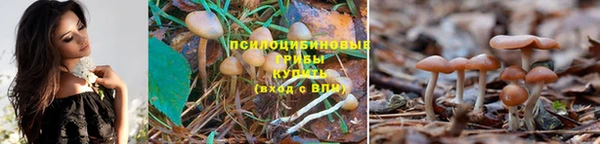 меф Киренск