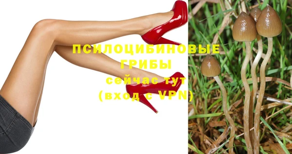 прущий лед Киреевск